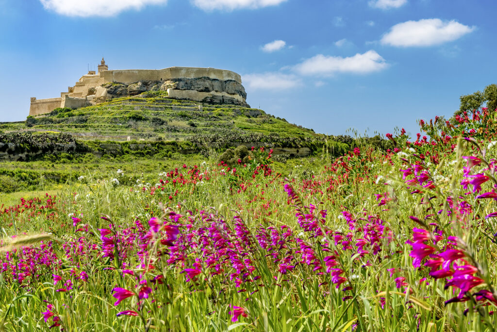 île de gozo